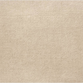Tan & Beige Rugs